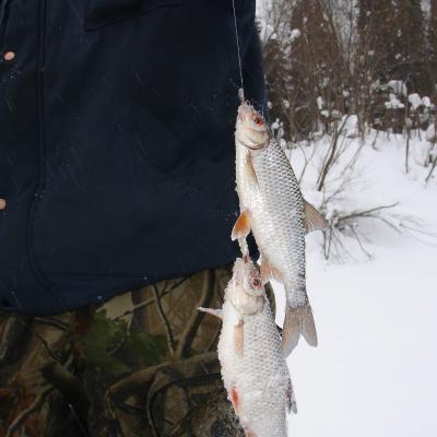 Winter Fishing 009